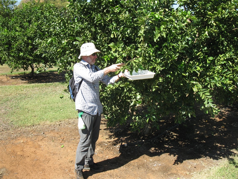 Citrus Biosecurity Project