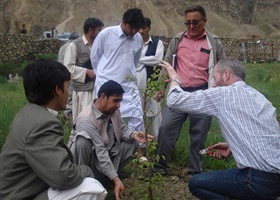 Workshop on pruning of young stonefruit, Afghanistan