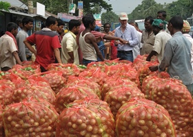 Eggplant Aggregator in Bangladesh