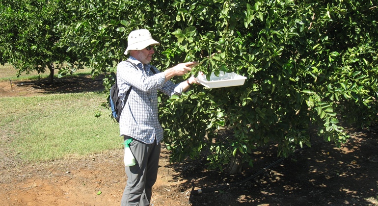 Citrus Biosecurity Project